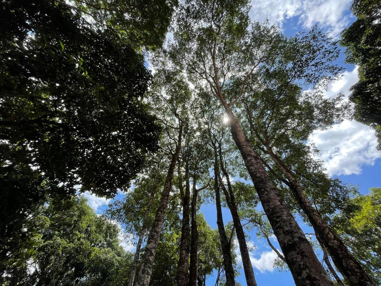 - Charmosa E Lodge Alto Paraiso de Goias