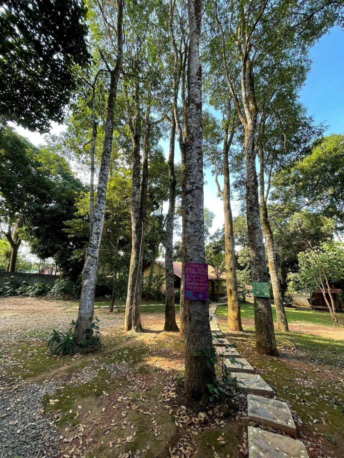 - Charmosa E Alto Paraiso de Goias
