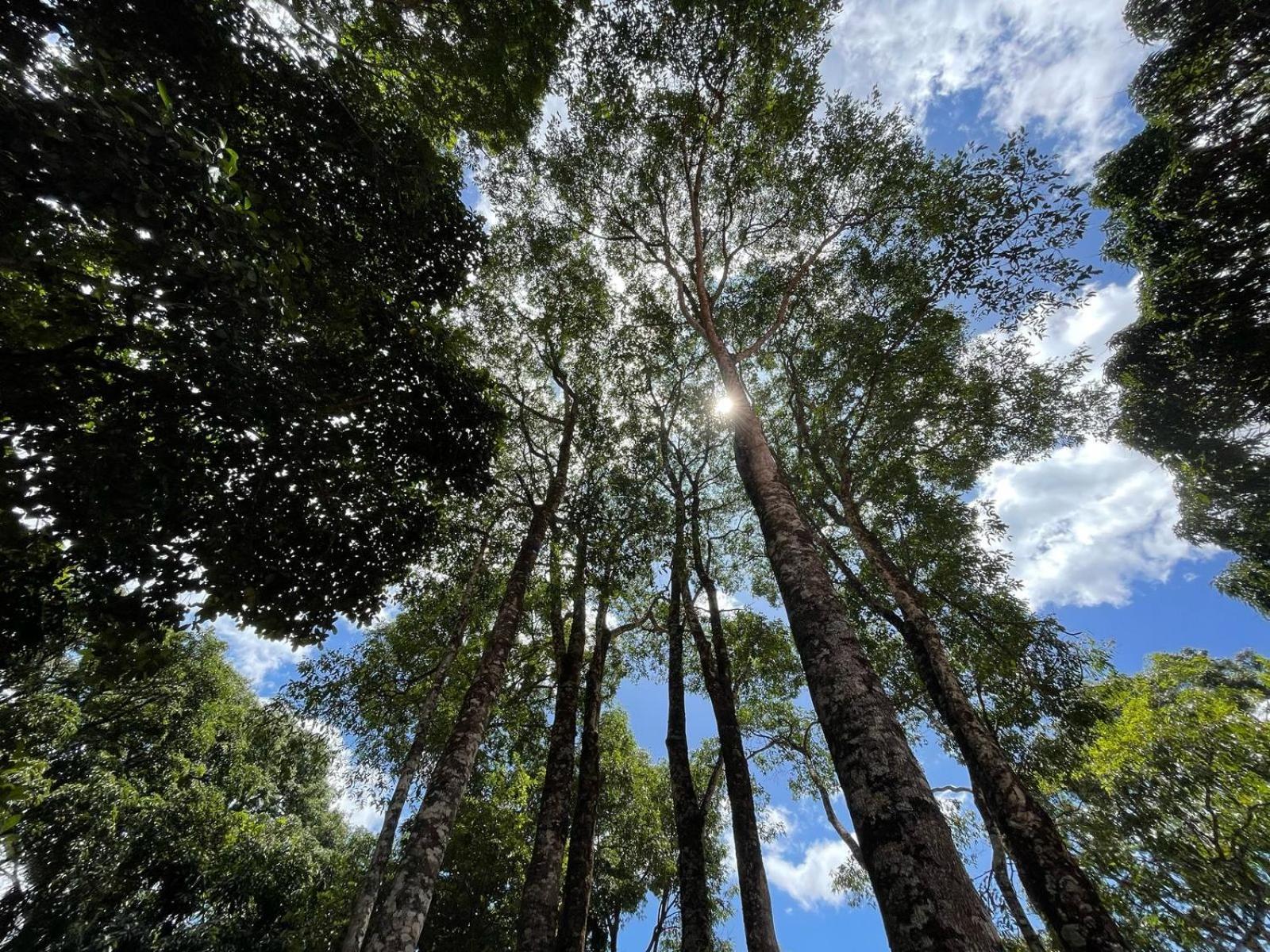 Lodge - Charmosa E Alto Paraiso de Goias